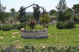 Una imagen del parque de La Lomiqua de Cheste.