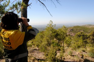 Punt de vigilància Portaceli (Serra).