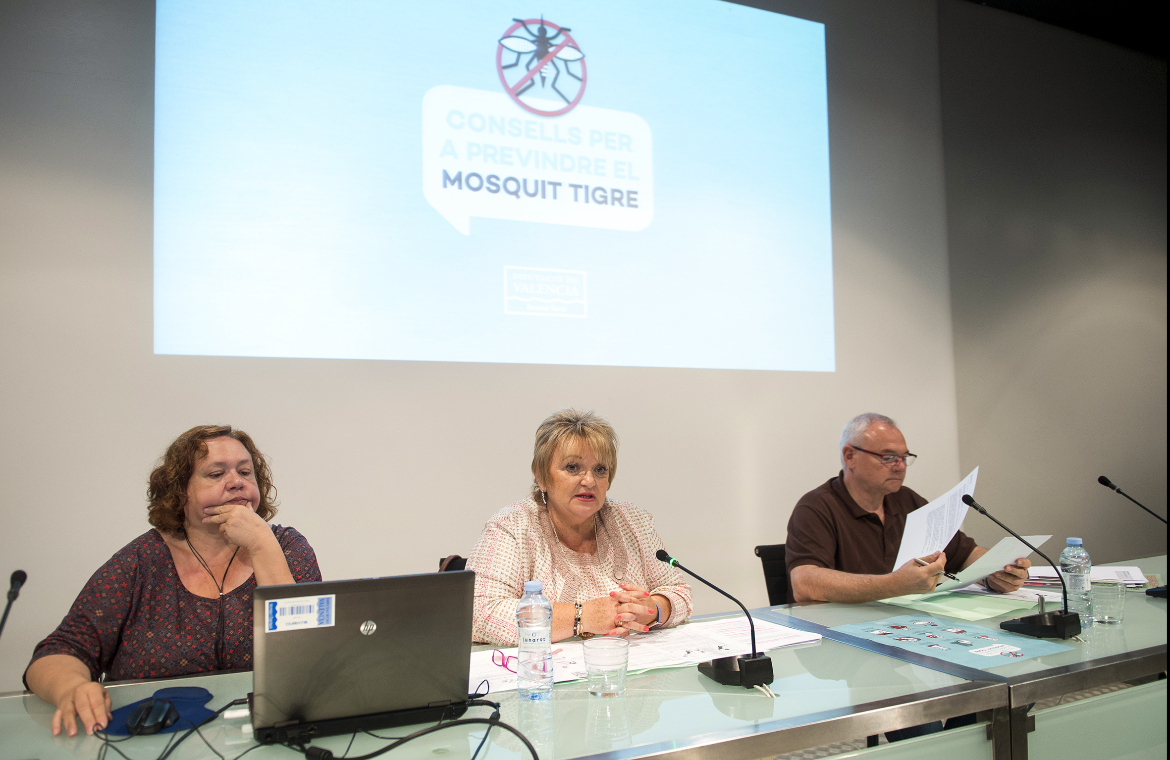 La diputada de Bienestar Social, Mercedes Berenguer, ha explicado a los alcaldes la magnitud del problema.