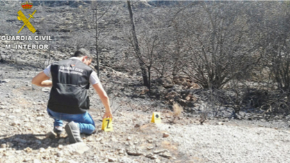 Un agente durante las investigaciones llevadas a cabo.