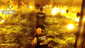 Carletb Los agentes con las plantas incautadas en un garaje de Carlet.