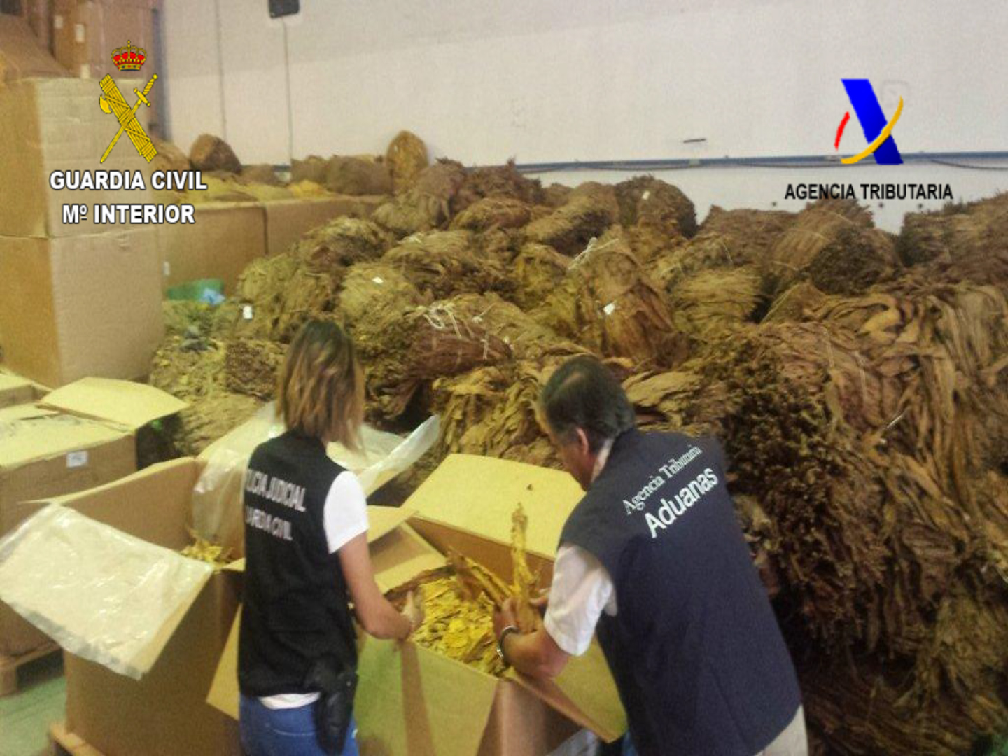En la operación ‘Robust” se ha detenido a 13 personas, practicado 5 registros y además de las 100 toneladas de tabaco se han intervenido 1.866 maquinas para su manufacturación, 3 vehículos de alta gama.