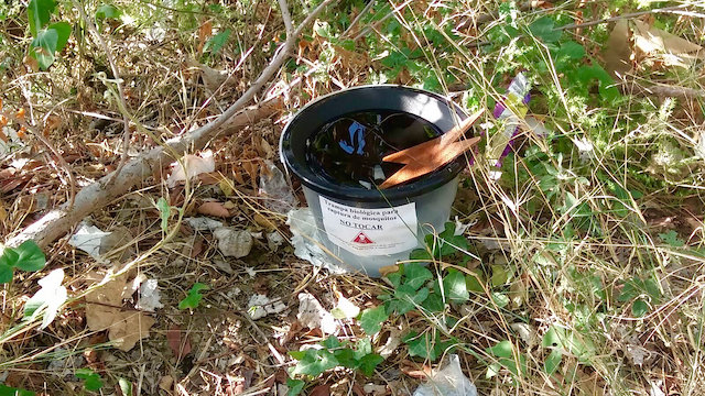 Una de las trampas de control ubicadas contra el mosquito tigre por el Ayuntamiento.