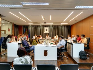 Una imagen de la última sesión plenaria del consistorio de Riba-roja.