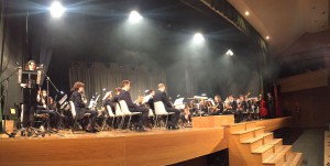 UnionEliana Las principales formaciones instrumentales de la entidad llenaron el Auditorio Municipal en tres conciertos celebrados el viernes 18, sábado 19 y domingo 20 de noviembre.