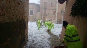 Los trabajos de los brigadistas se han centrado en la mejora del estado de calles de los municipios y caminos rurales retirando nieve y árboles caídos.