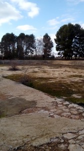 El emblemático estanque de Rozaleme está ubicado a menos de un kilómetro del casco urbano de Requena.