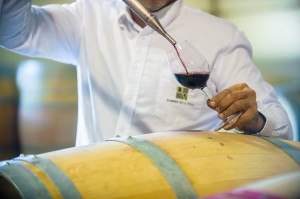 La Bodega Dominio de la Vega ha cerrado el ejercicio con una facturación superior a los dos millones de Euros.