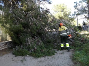 image_gallery Les brigades forestals de Divalterra van tindre que intervindre en 23 municipis realitzant un total de 34 serveis.