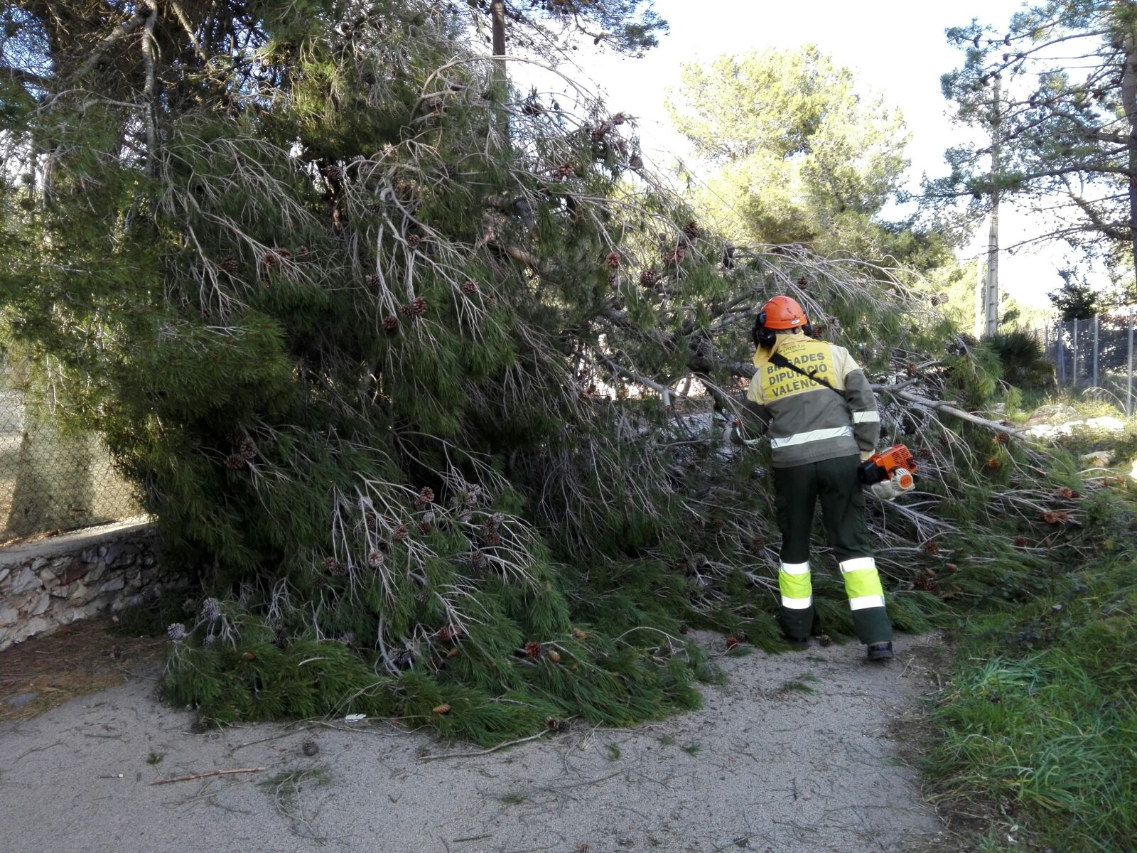 Les brigades forestals de Divalterra van tindre que intervindre en 23 municipis realitzant un total de 34 serveis.