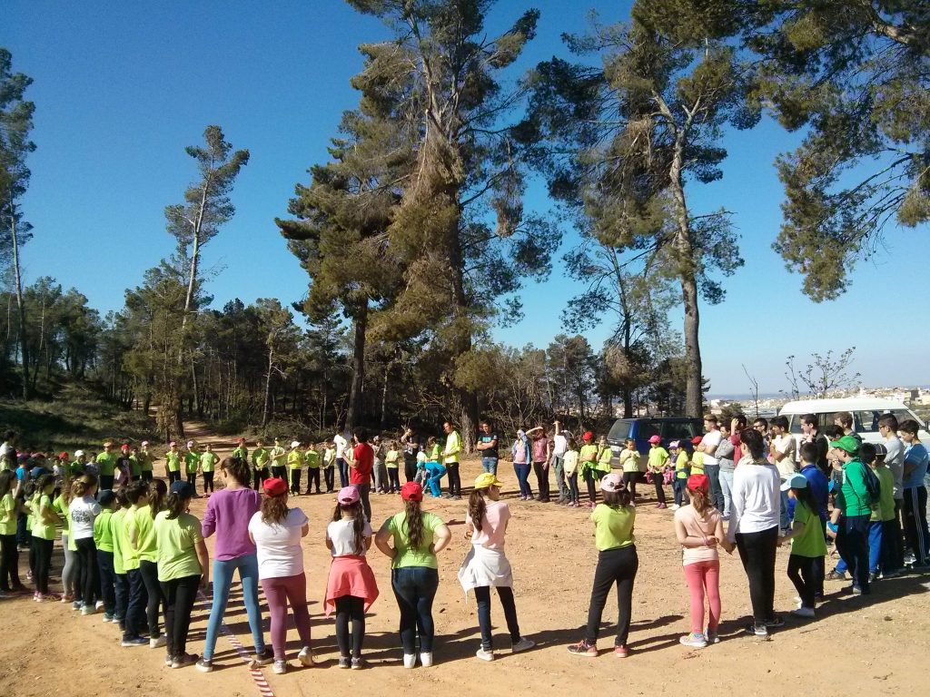 Finalmente fueron 90 niños de 8 y 9 años, acompañados de 25 alumnos de la Escuela de Viticultura, quienes disfrutaron de una soleada mañana.
