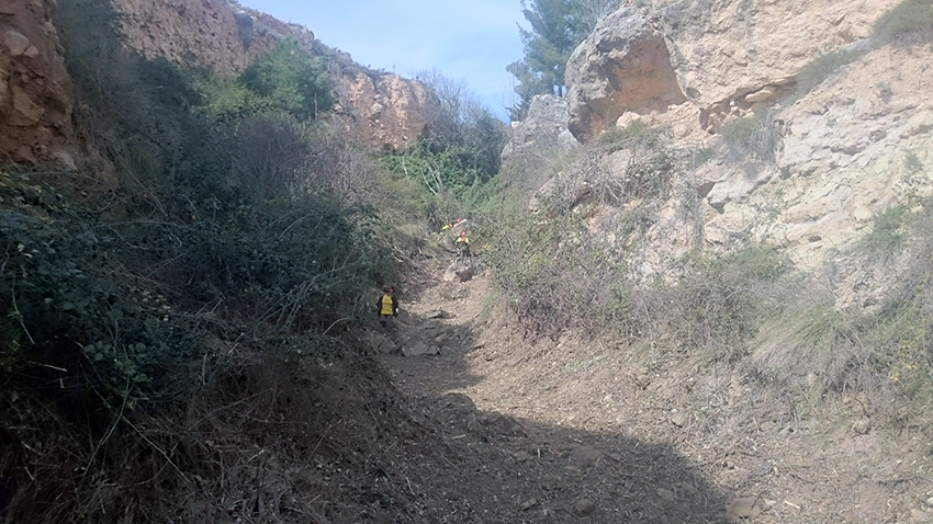 La actuaciones comprenden la eliminación de vegetación oclusiva y actuaciones selectivas sobre la vegetación.