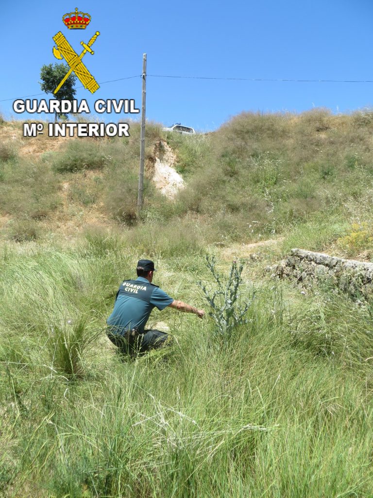 La Guardia Civil ha procedido al auxilio de un varón de 76 años, que se encontraba en una zona de difícil acceso y de compleja visualización en el termino municipal de Sinarcas.
