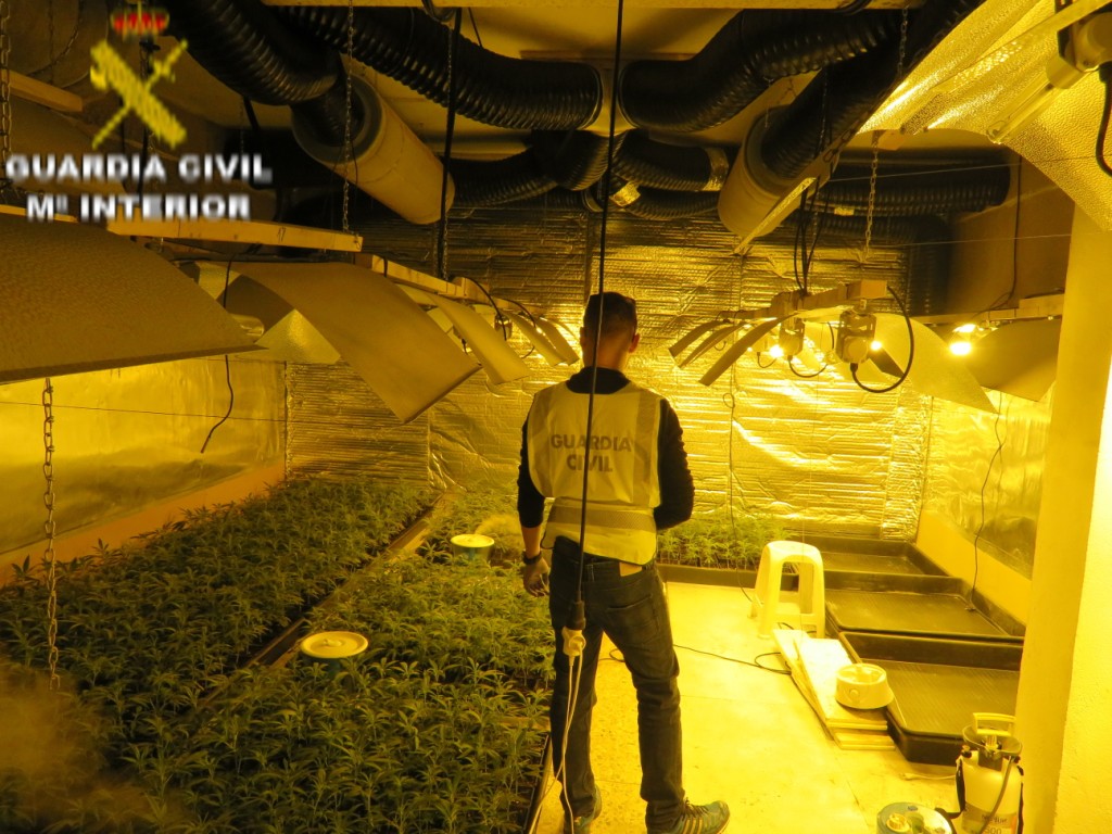 La Guardia Civil en el marco de la operación “DARDANELO” ha procedido a la detención de un varón implicado en el cultivo y elaboración de drogas.