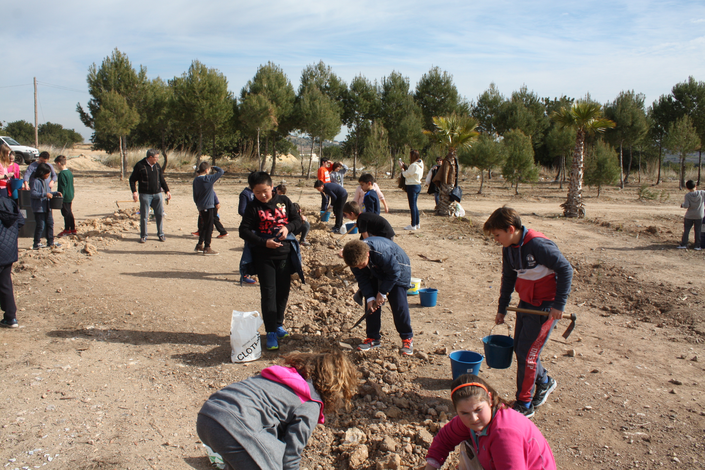 Celebración del día de l'arbre a Turís.