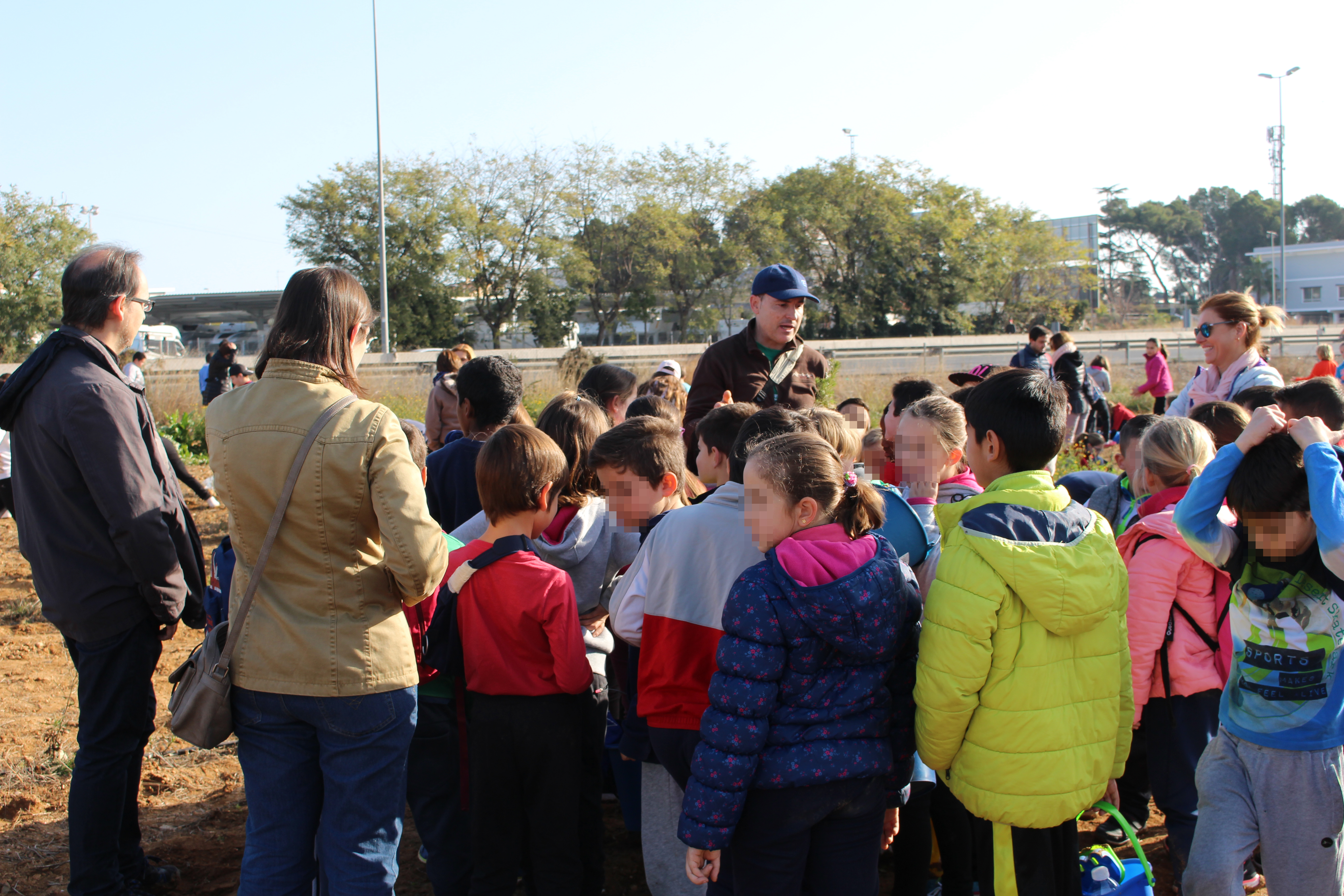 La Conselleria de Medi Ambient ha donat més de 800 exemplars (entre pi blanc i carrasca).