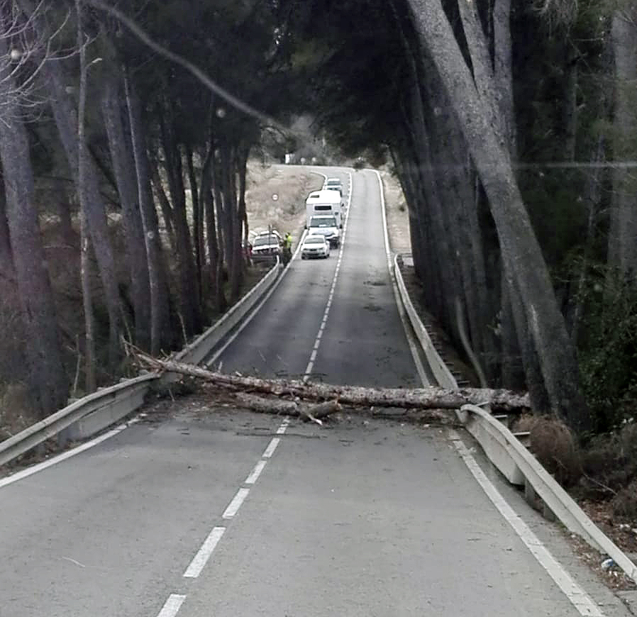 Árbol caído en la carretera entre Alborache y Buñol a consecuencia de los fuertes vientos de esta semana.