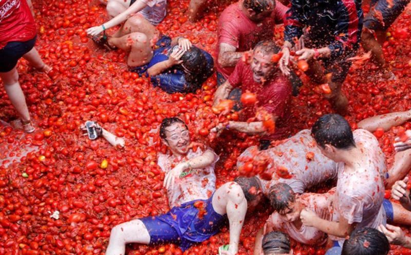 Se abre el plazo de solicitud de la presentada de La Tomatina.