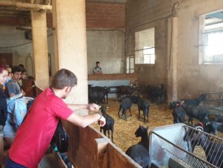 La colaboración de municipios y mancomunidades es clave para desarrollar estrategias que pongan en valor el medio rural.