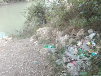 El ayuntamiento pide una actuación urgente para garantizar su preservación.