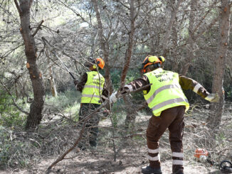 Las contratación de brigadistas en municipios con problemas de despoblación permitirá también dinamizar las economías locales con la creación de empleo de calidad.