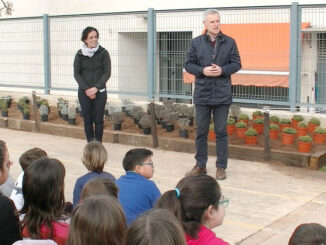 El Ayuntamiento colabora en el proyecto “Patis vius” del CEIP Virgen del Carmen.